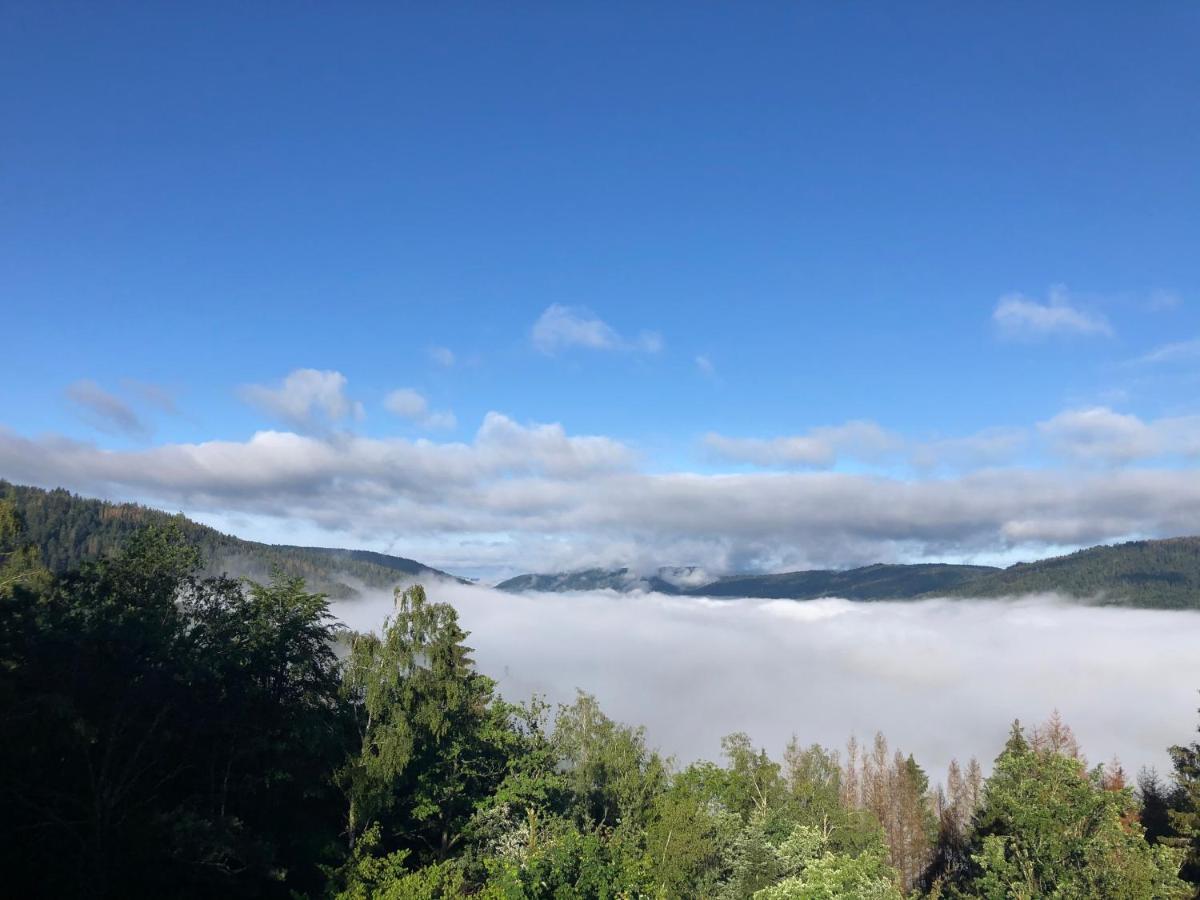 Le Gite Cozy De Bouvacote Avec Vue Panoramique Et Sauna Ле-Толи Экстерьер фото